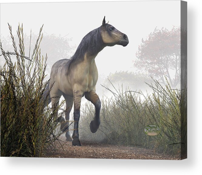 Horse Acrylic Print featuring the photograph Pale Horse in the Mist by Daniel Eskridge