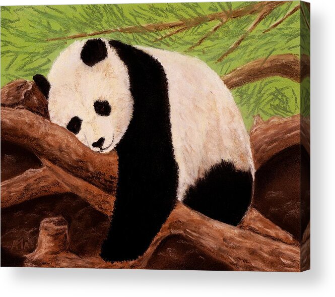 Brave Acrylic Print featuring the painting Panda by Anastasiya Malakhova