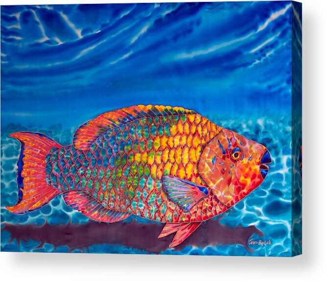 Rainbow Parrotfish Acrylic Print featuring the painting Rainbow Parrotfish by Daniel Jean-Baptiste