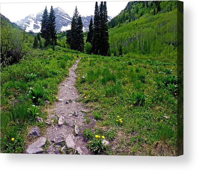 Maroon Bells Acrylic Print featuring the photograph Path to Maroon bells by George Tuffy