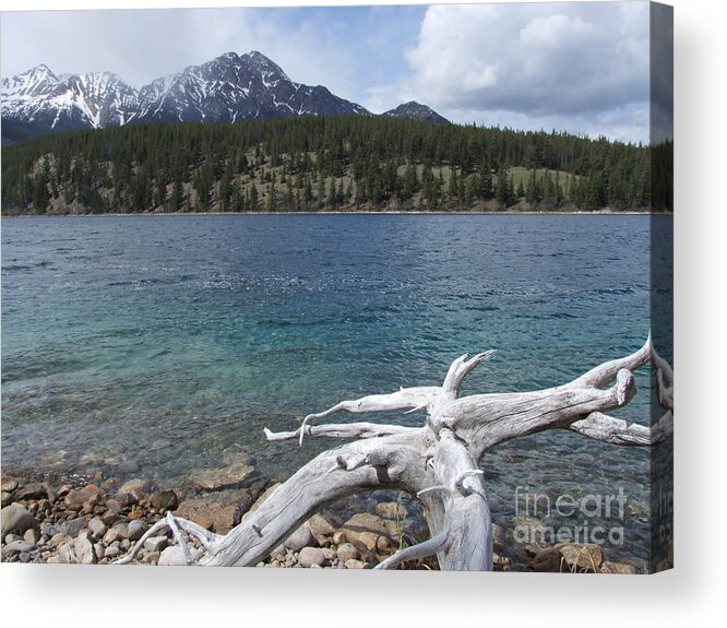 Patricia Lake Acrylic Print featuring the photograph Patricia Lake - Jasper - Alberta - Canada by Phil Banks