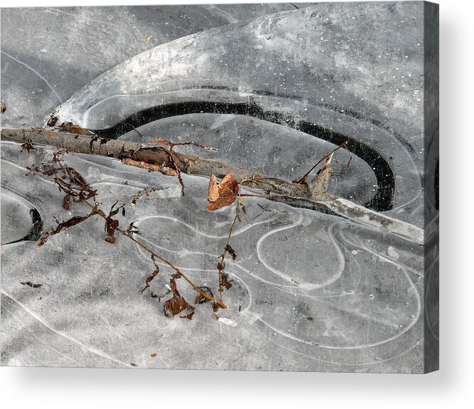 Ice Acrylic Print featuring the photograph Patterns in the Ice by Leda Robertson