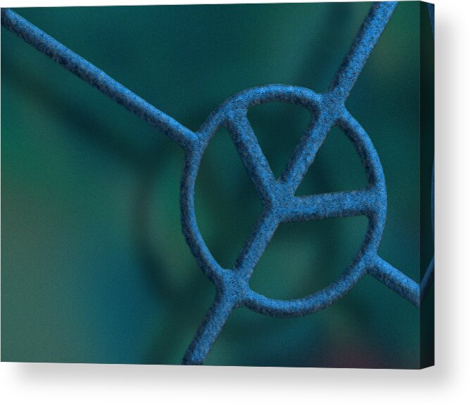 Photography Acrylic Print featuring the photograph Peace by Paul Wear
