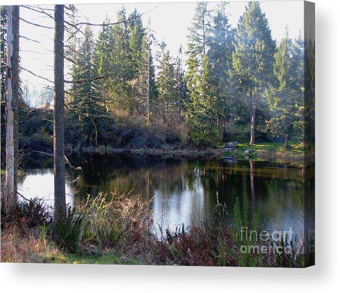 Pond Acrylic Print featuring the photograph Peaceful Pond by Rory Siegel