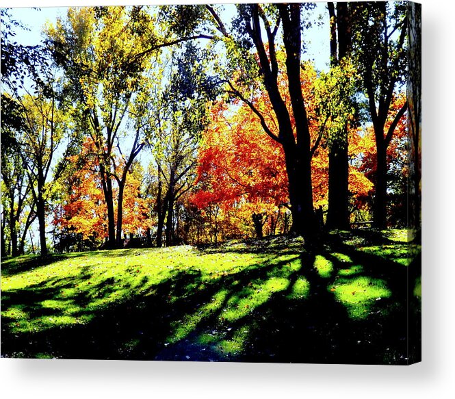 Perfect Picnic Spot Acrylic Print featuring the photograph Perfect Picnic Spot by Darren Robinson