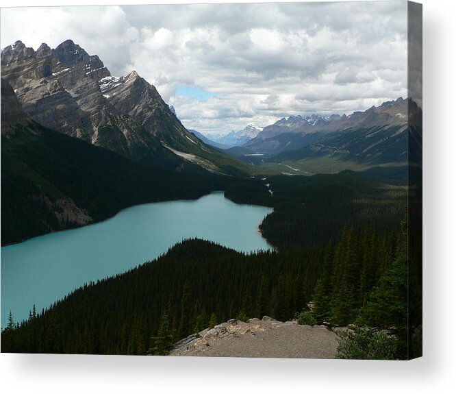 Peyote Acrylic Print featuring the photograph Peyote Lake in Banff Alberta by Laurel Best
