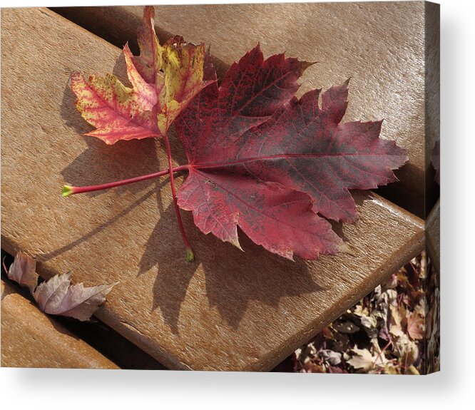 Leaves Acrylic Print featuring the photograph Picnic for Two by Jessica Myscofski