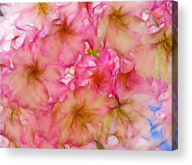 Pink Blossom Acrylic Print featuring the digital art Pink Blossom by Lilia D
