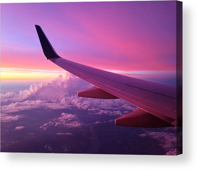Pink Acrylic Print featuring the photograph Pink Flight by Chad Dutson