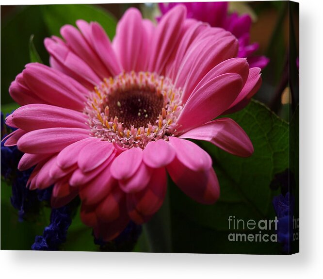 Pink Acrylic Print featuring the photograph Pink Petal Explosion by Vivian Martin