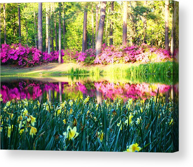 Pink Acrylic Print featuring the photograph Pink Reflections by Jan Marvin by Jan Marvin