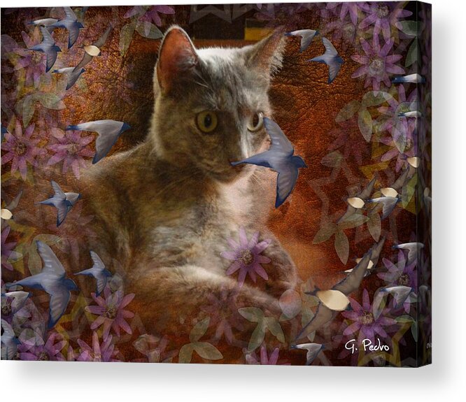 Cat Acrylic Print featuring the photograph Pinky's Dream by George Pedro