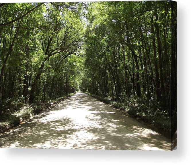 Landscape Acrylic Print featuring the photograph Plantation Road by James McAdams