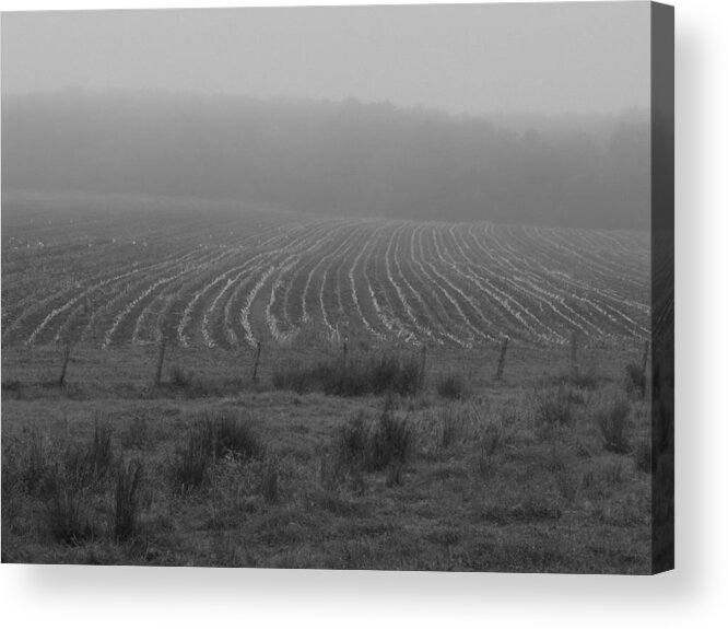 Bill Tomsa Acrylic Print featuring the photograph Plowed in the Fog by Bill Tomsa