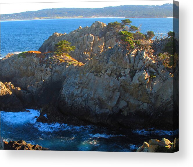 Point Lobos Acrylic Print featuring the photograph Point Lobos Number 9 by Derek Dean
