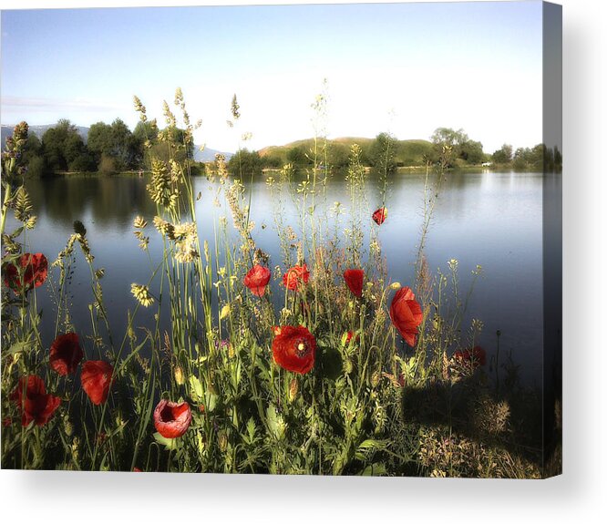 Poppies Acrylic Print featuring the photograph Poppies at lake by Rumiana Nikolova