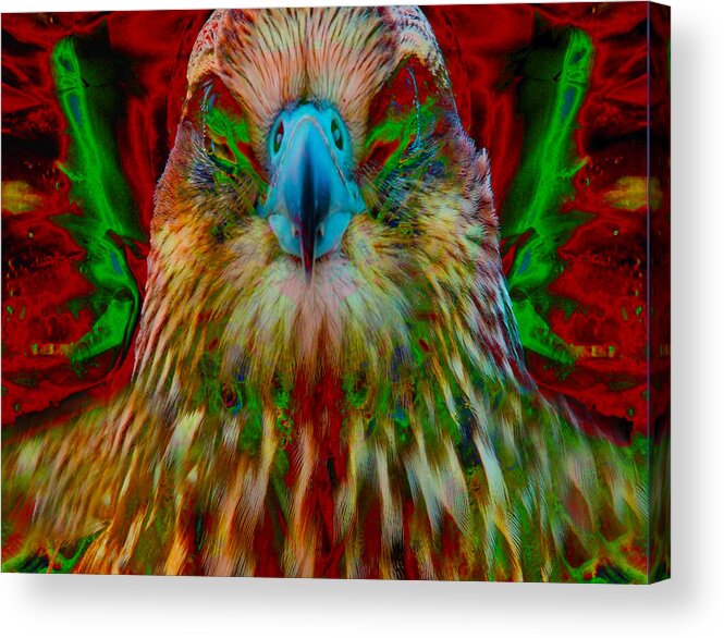 Abstract Acrylic Print featuring the digital art Power Hawk 1 by Colleen Cannon