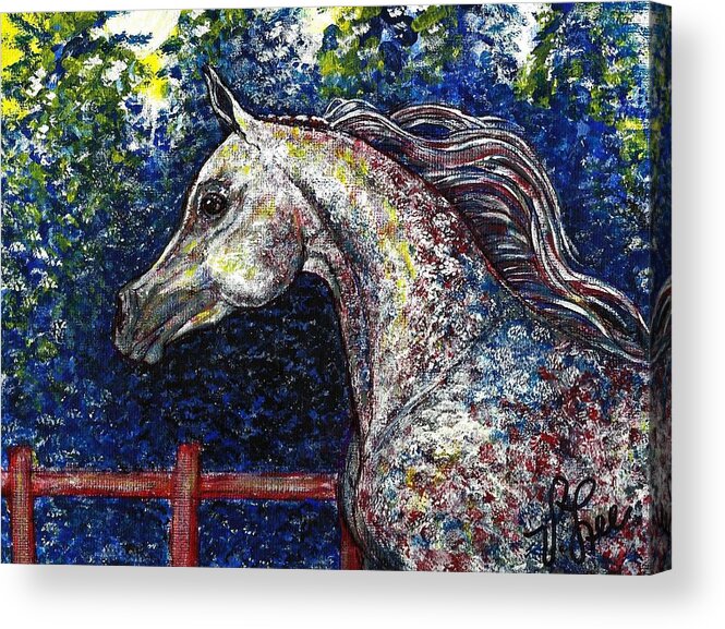 Horse Acrylic Print featuring the painting Primarily Arabian by VLee Watson