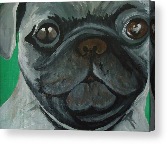 Pug Acrylic Print featuring the painting PUG by Leslie Manley