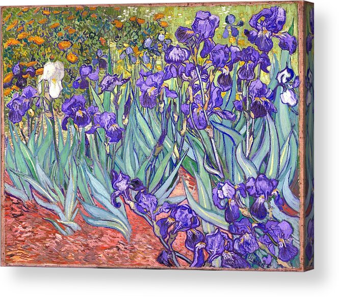 Van Gogh Acrylic Print featuring the painting Purple Irises by Vincent Van Gogh