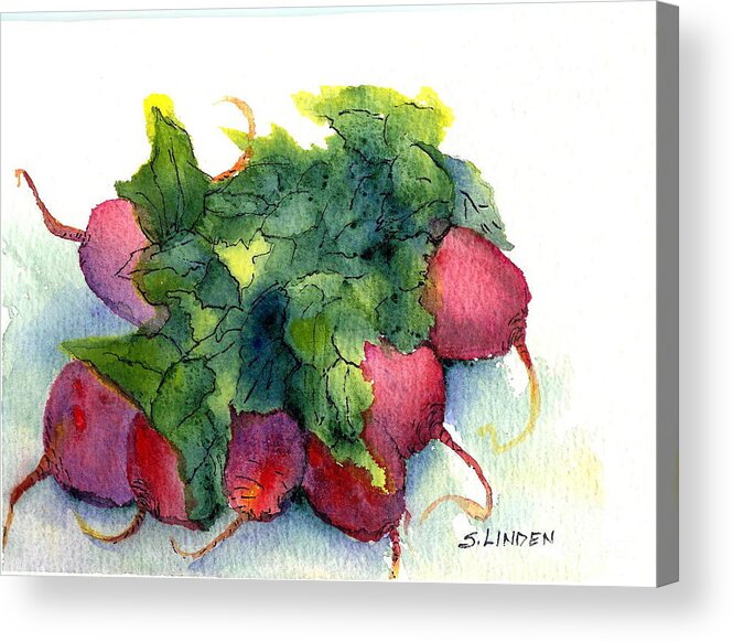 Fruits And Vegetables - Red - Red Radishes Acrylic Print featuring the painting Radishes by Sandy Linden