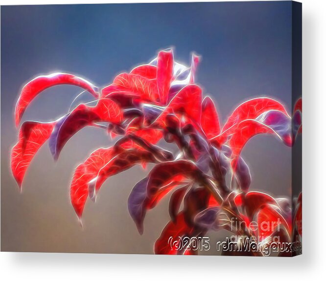 Autumn Acrylic Print featuring the photograph Red Leaves Aglow by Margaux Dreamaginations