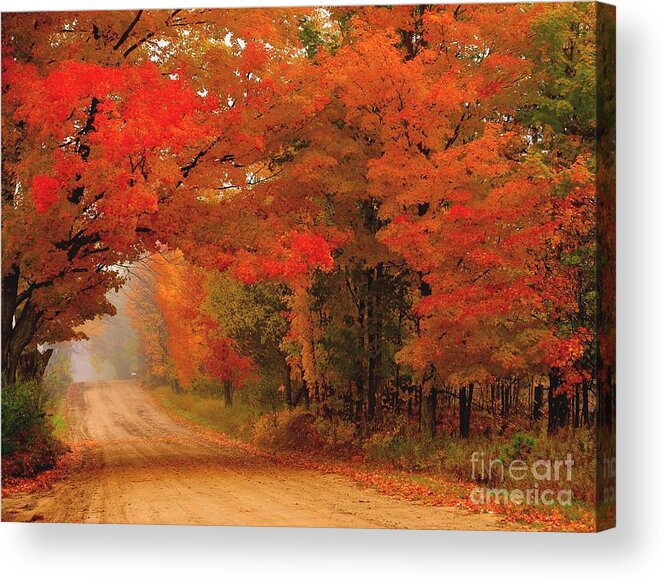 Autumn Acrylic Print featuring the photograph Red Archway by Terri Gostola
