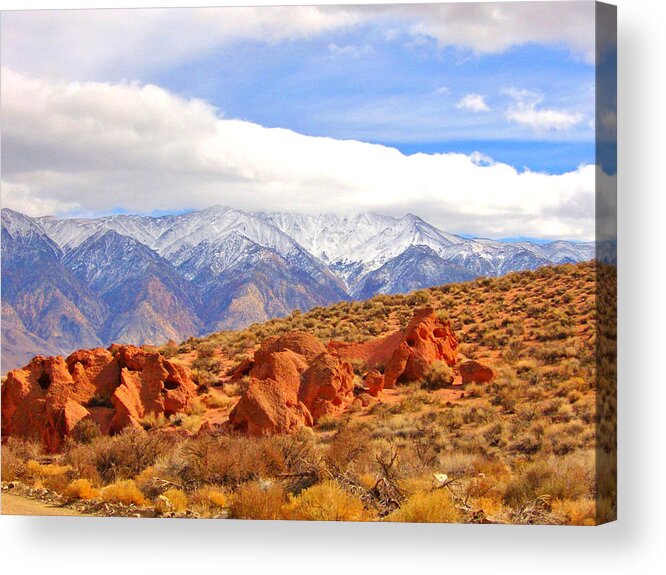 Sky Acrylic Print featuring the photograph Red Rock And Desert by Marilyn Diaz