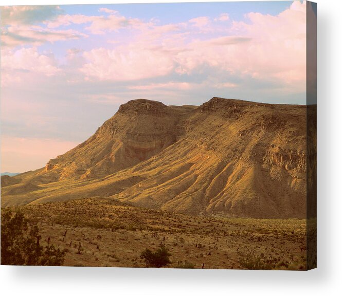 Red Rock Canyon Acrylic Print featuring the photograph Red Rock Canyon 2014 Number 3 by Randall Weidner