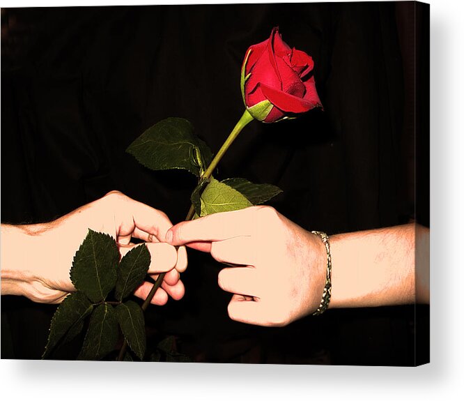 Red Acrylic Print featuring the photograph Red Rose by Jan Marvin Studios by Jan Marvin