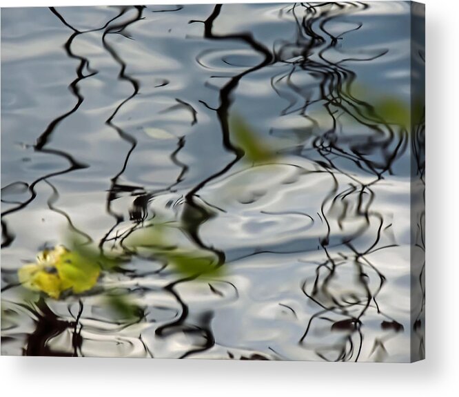 Nature Acrylic Print featuring the photograph Reflected by Robert Mitchell