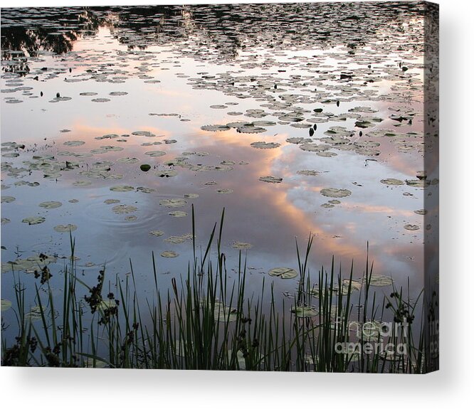 Reflections Acrylic Print featuring the photograph Reflections by Michael Krek