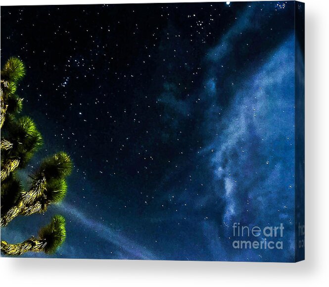 Desert Night Sky Acrylic Print featuring the photograph ReLeasinG The STaRS by Angela J Wright