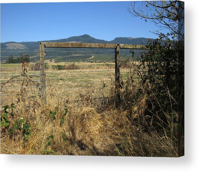 Mountains Acrylic Print featuring the photograph Rest Stop 3 - Oregon by Helaine Cummins