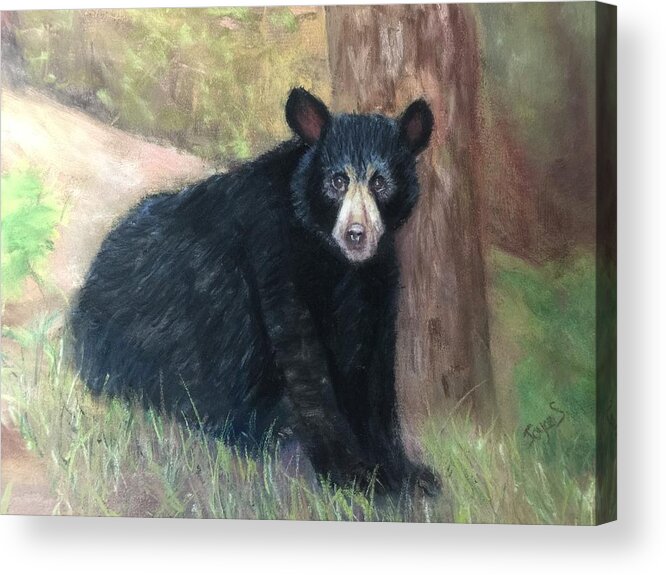 Bear Acrylic Print featuring the painting Resting Bear by Joyce Spencer