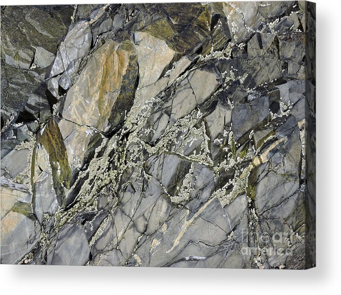 Marcia Lee Jones Acrylic Print featuring the photograph Rock Of Ages by Marcia Lee Jones