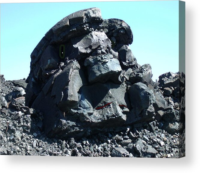 Rock Acrylic Print featuring the photograph Rocky by Erin Rednour