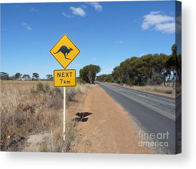 Australia Acrylic Print featuring the photograph Roo Warning - Western Australia by Phil Banks