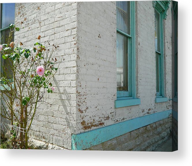 House Acrylic Print featuring the photograph Rose White Blue House by Kathy Barney