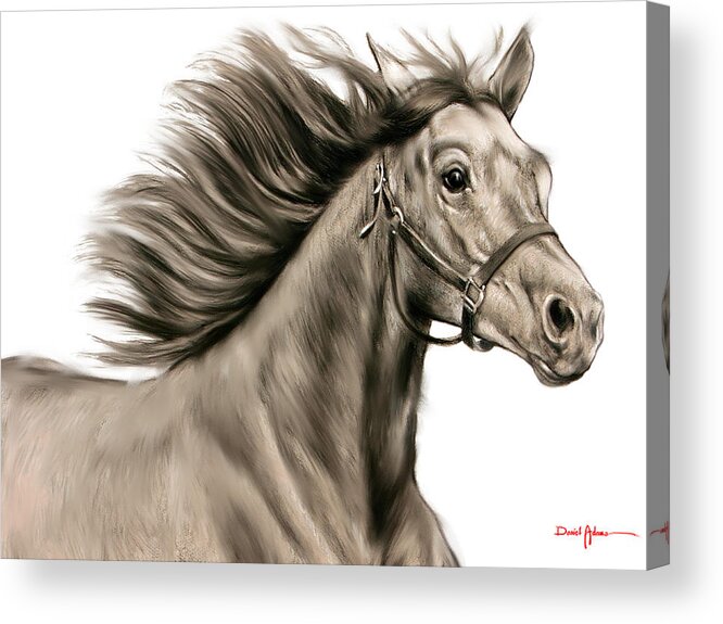 Horse Acrylic Print featuring the painting DA146 Running Free by Daniel Adams by Daniel Adams