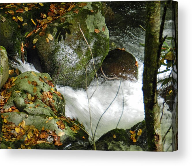 Stream Acrylic Print featuring the photograph Rushing by Deborah Ferree