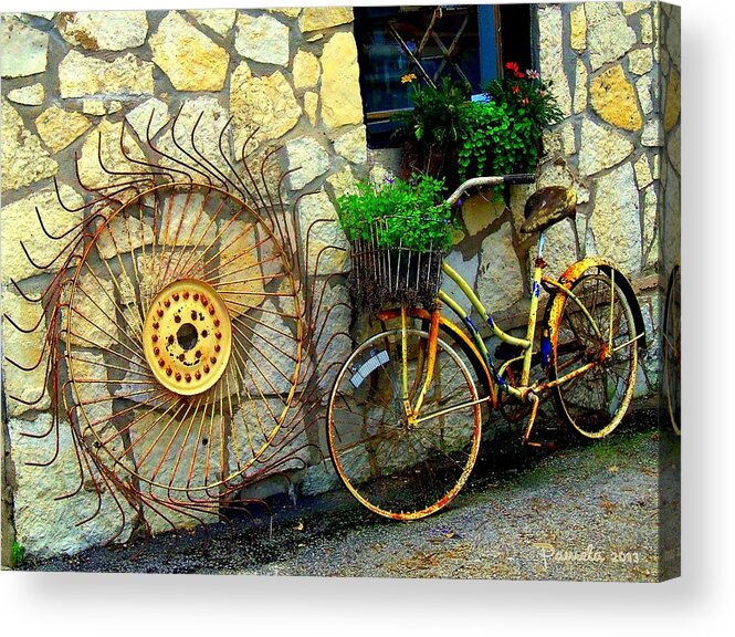 Rusty Antiques Acrylic Print featuring the photograph Rust And Flowers by Pamela Smale Williams