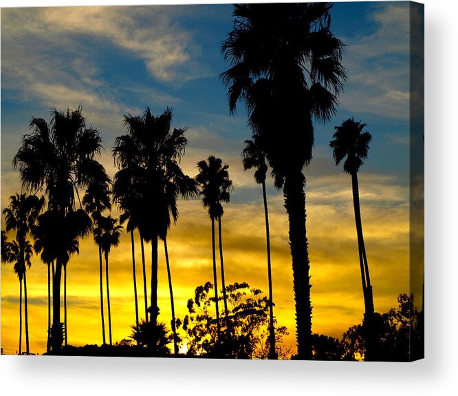 Santa Barbara Acrylic Print featuring the photograph Santa Barbara Sunset by Gia Marie Houck