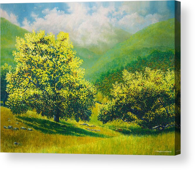 Trees Acrylic Print featuring the painting Santa Ynez Hills by Douglas Castleman