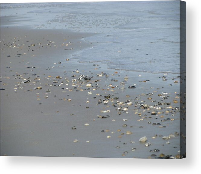 Landscape Acrylic Print featuring the photograph Scattered Shells by Ellen Meakin