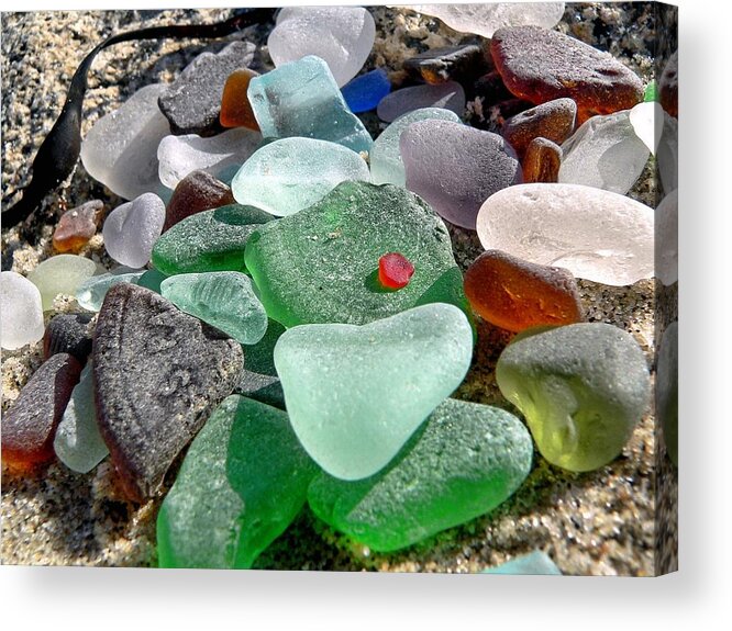 Janice Drew Acrylic Print featuring the photograph Sea glass in multicolors by Janice Drew