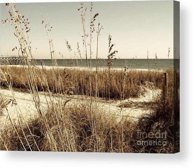 Beach Acrylic Print featuring the photograph Sea Oats Along the Strand by MM Anderson