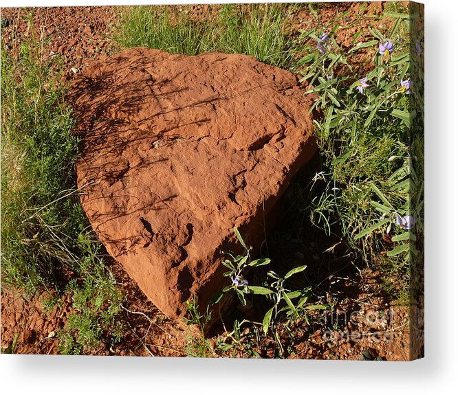 Sedona Acrylic Print featuring the photograph Sedona Heart Rock by Mars Besso