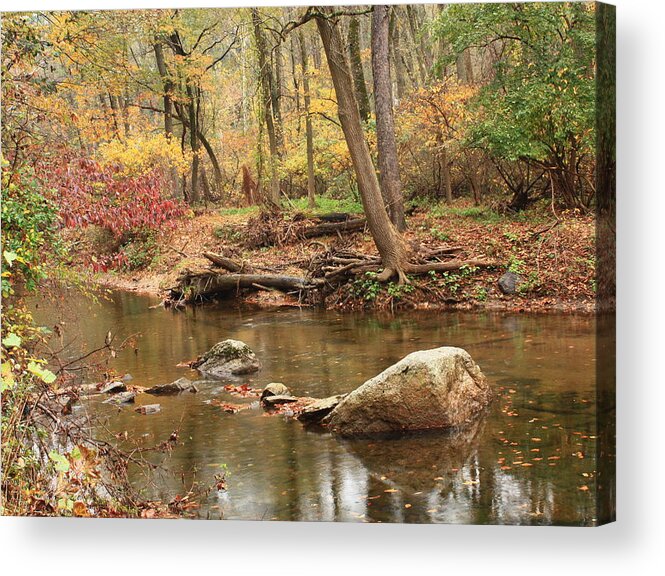 Autumn Scene Acrylic Print featuring the photograph Shades of Fall in Ridley Park by Patrice Zinck