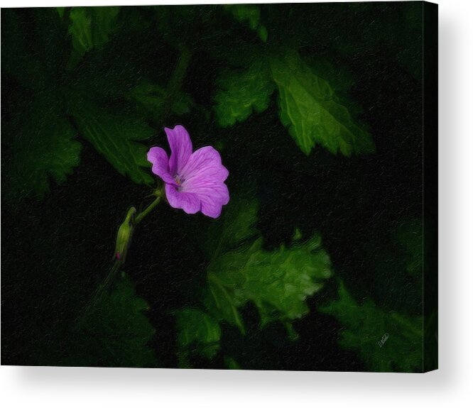 Flower Acrylic Print featuring the painting Shadowy Flower Ger1935 by Dean Wittle